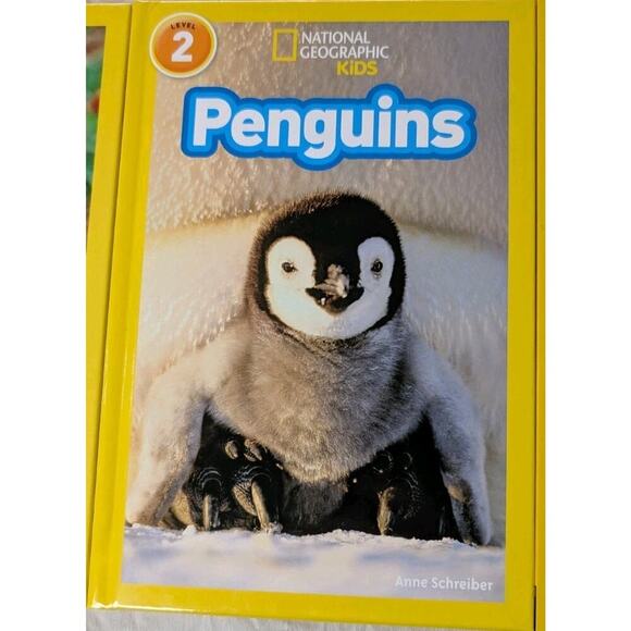 National Geographic Pandas & Penguins Cutest Animals + Sticker Book Hardcover - Picture 3 of 10